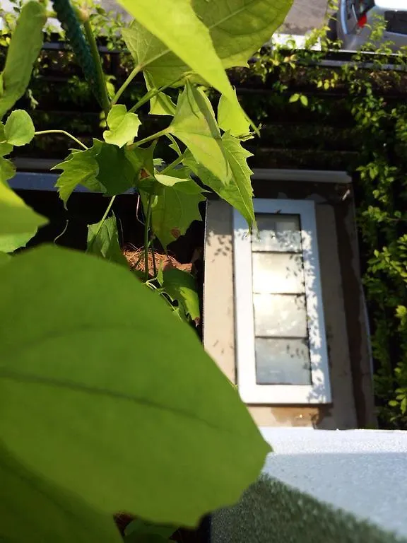 Rimba Mac Villa Melaka Retreat Guesthouse 0*, Malacca